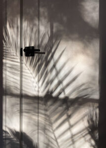 Closed Bedroom Door With Palm Leaf Shadows